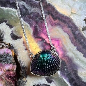 Titanium aura sea shell necklace
